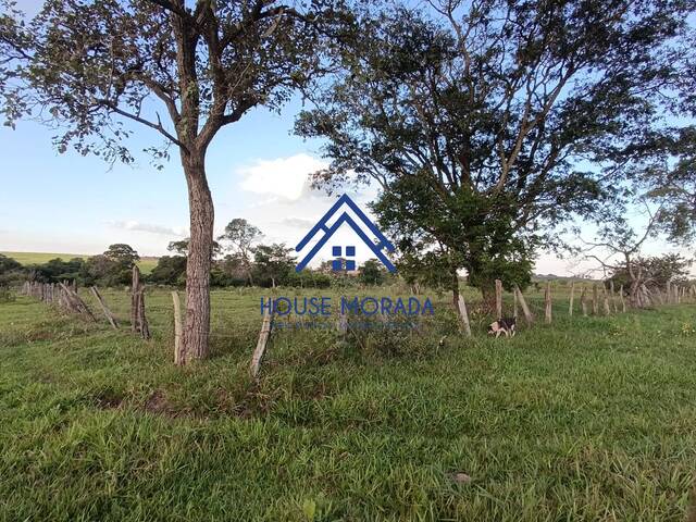 Área para Venda em Araraquara - 4