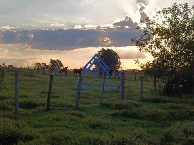 Área para Venda em Araraquara - 5
