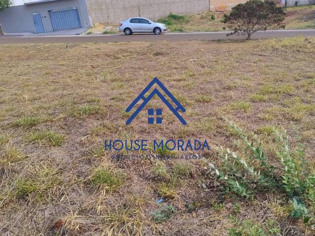 #216 - Área para Venda em Araraquara - SP